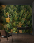 Aerial view of golden, orange and green trees transitioning seasons peel and stick mural