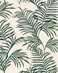 Calm Ferns