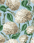 Elegant White Hydrangea soft blue botanical floral wallpaper