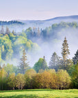 Ethereal morning mist in nature setting removable wallpaper