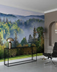 Morning fog rolling through natural scenery removable wall mural