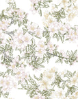 Linen-like peel and stick wallpaper with blush botanical branch sketch - Petal Branch Sketch