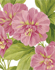 Smooth peel and stick wallpaper with pink florals - Soft Petal Wash