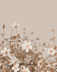 Canvas like peel and stick wallpaper with dried white blossoms - Soft Wash