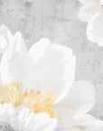 White Peonies - Soft Grey Floral Wallpaper