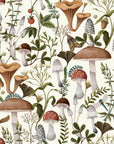 Custom wallcovering featuring a vintage botanical woodland forager design