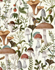 Custom wallcovering featuring a vintage botanical woodland forager design