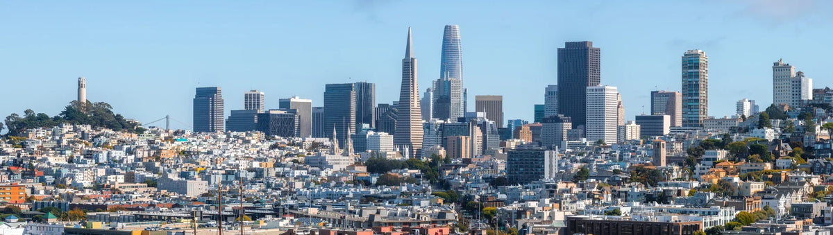 Crown of the Bay San Francisco skyline — wall mural for home offices