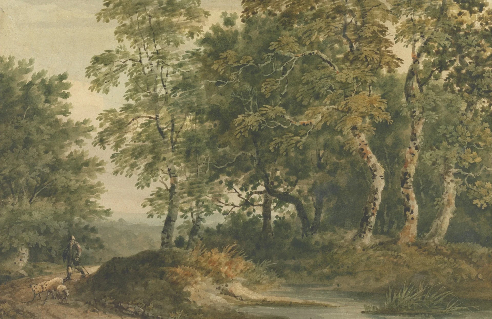 Pastoral Ancient Woodland wallpaper featuring green forest trees and shepherd with sheep in classical style