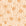 Smooth apricot seashell and starfish peel and stick wallpaper - Apricot Tides