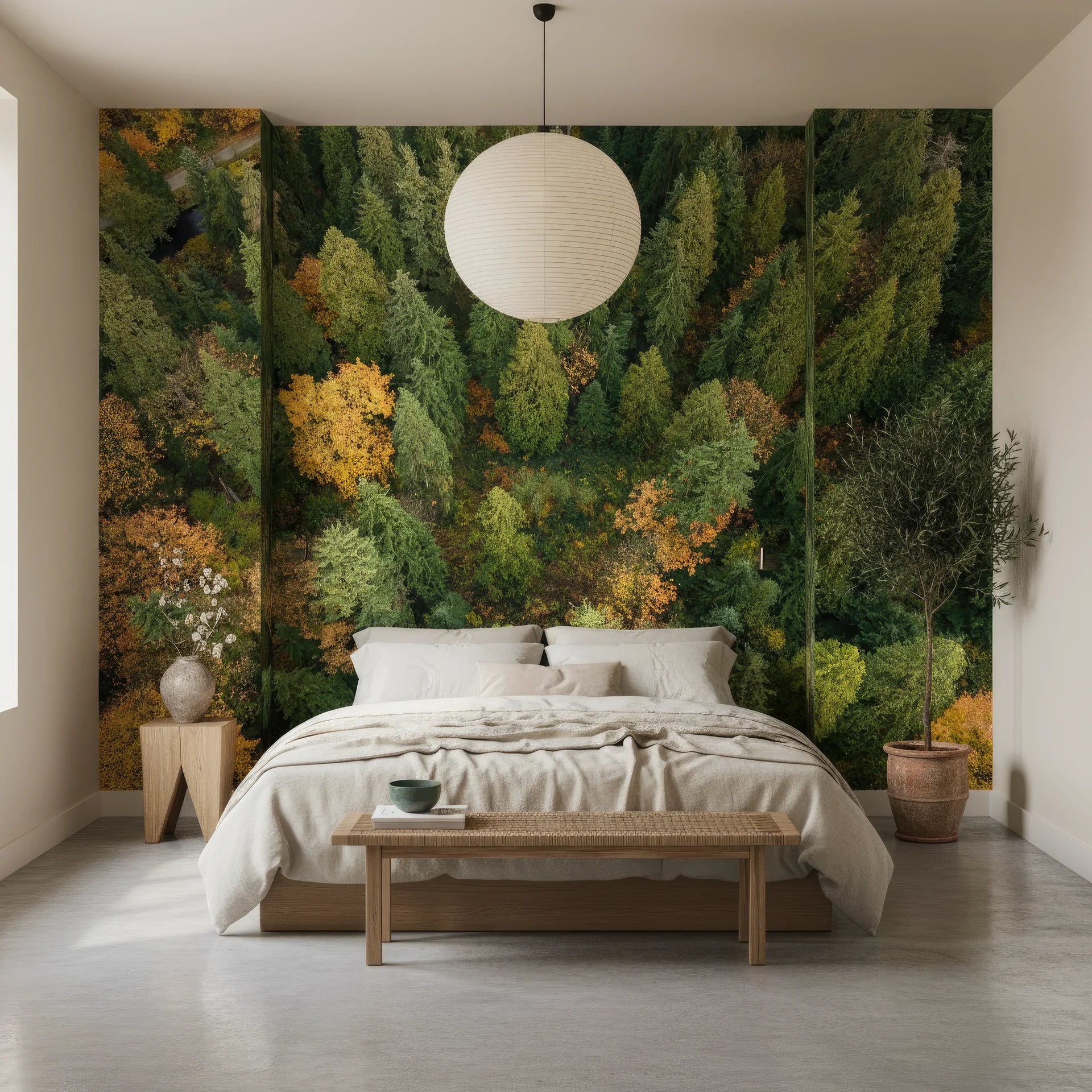 Overhead forest canopy showing transition colors of fall on removable wallpaper