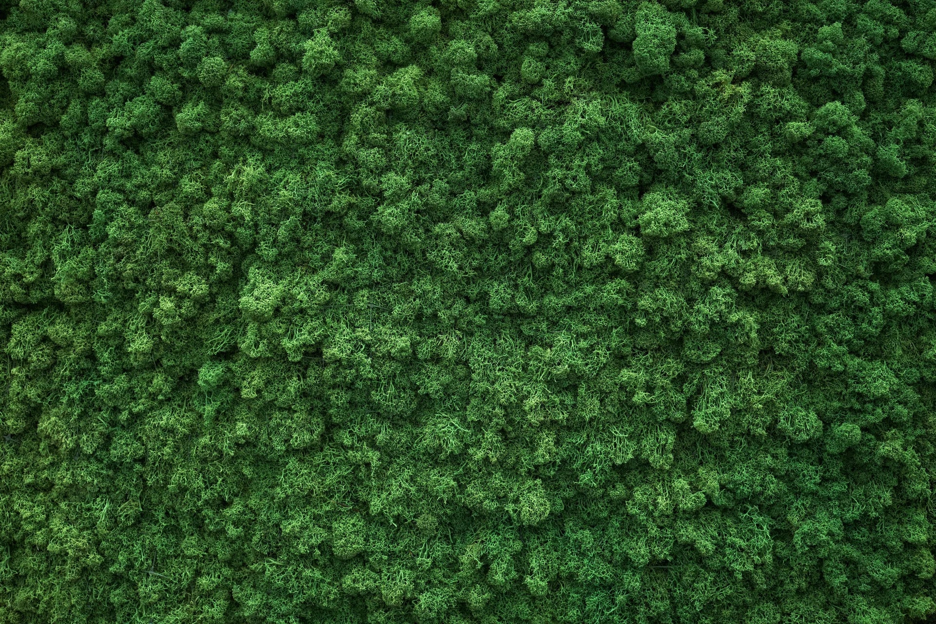 Autumn landscape rendered as rich tapestry with warm glowing colors removable wallpaper