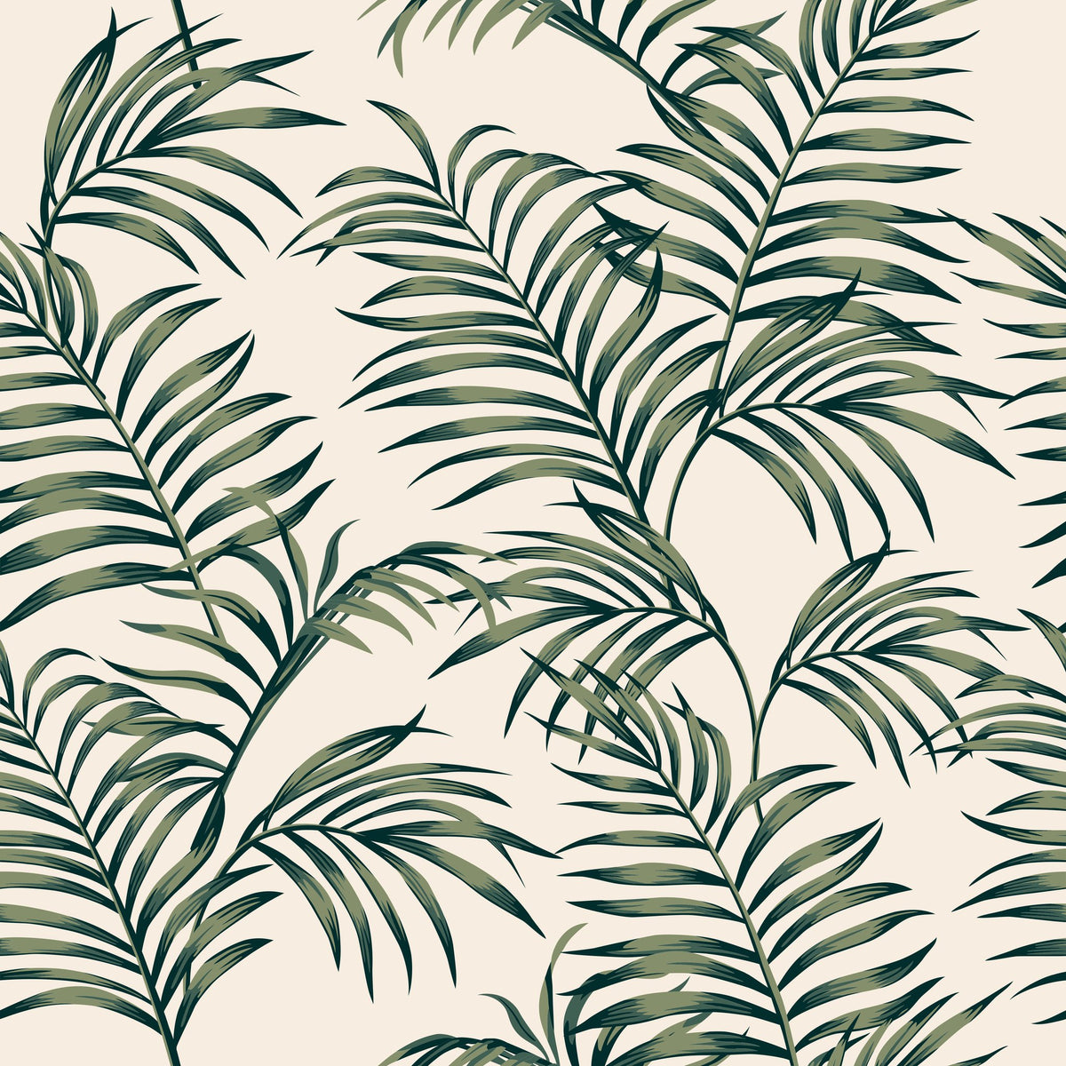 Calm Ferns