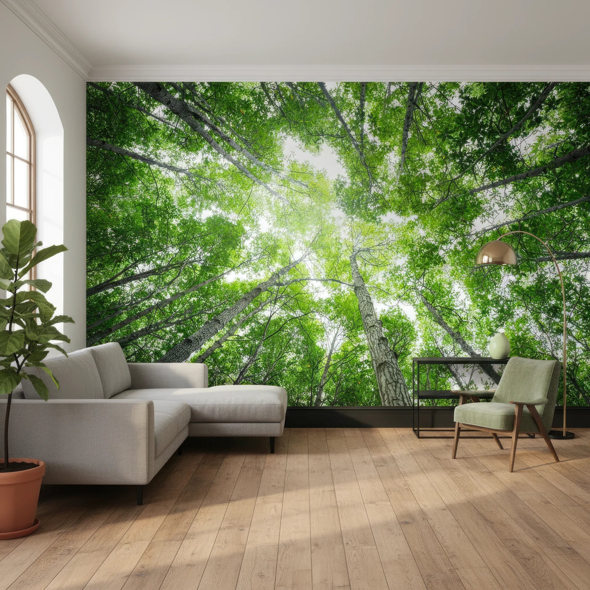 Upward forest perspective with towering trees and dappled light removable wallpaper