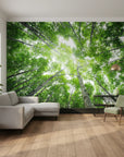 Upward forest perspective with towering trees and dappled light removable wallpaper