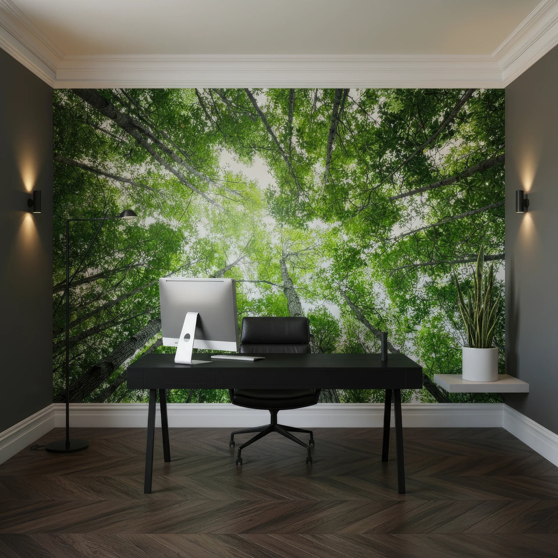 Canopy view from below with morning light filtering through leaves peel and stick wallpaper