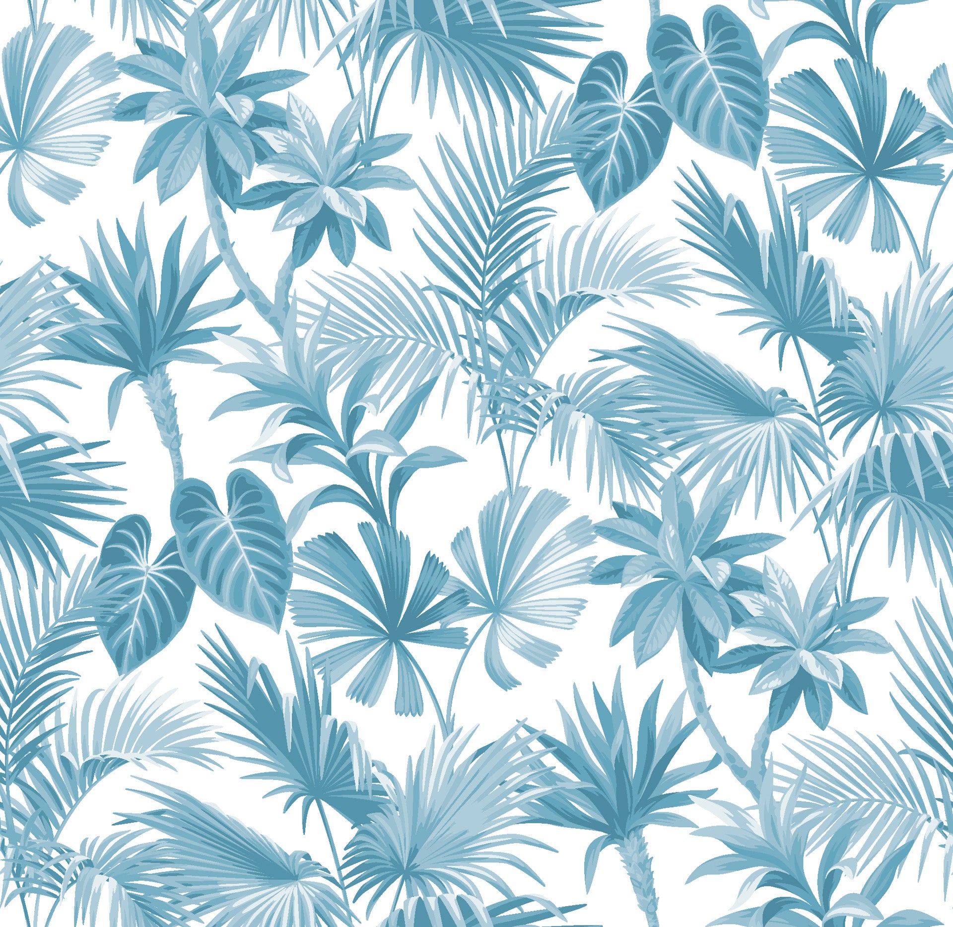 Clustered and interwoven, the exotic leaves exhibit profound cerulean blue shading