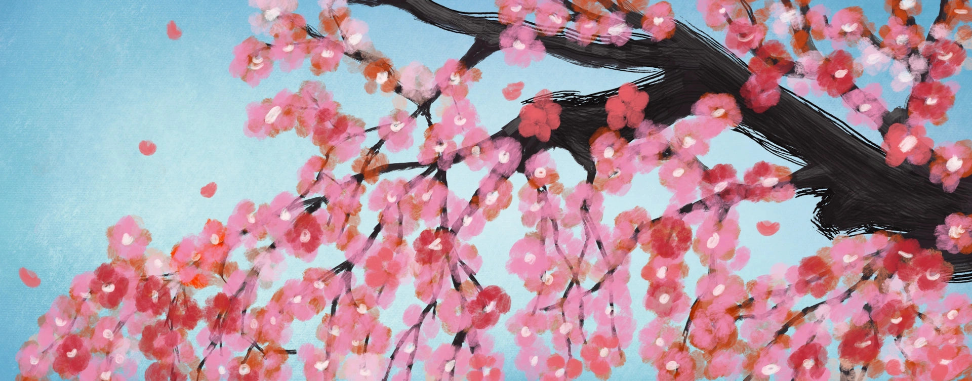 Japanese-inspired Cherry Blossoms wallpaper with pink blooms on dark branches against soft blue sky