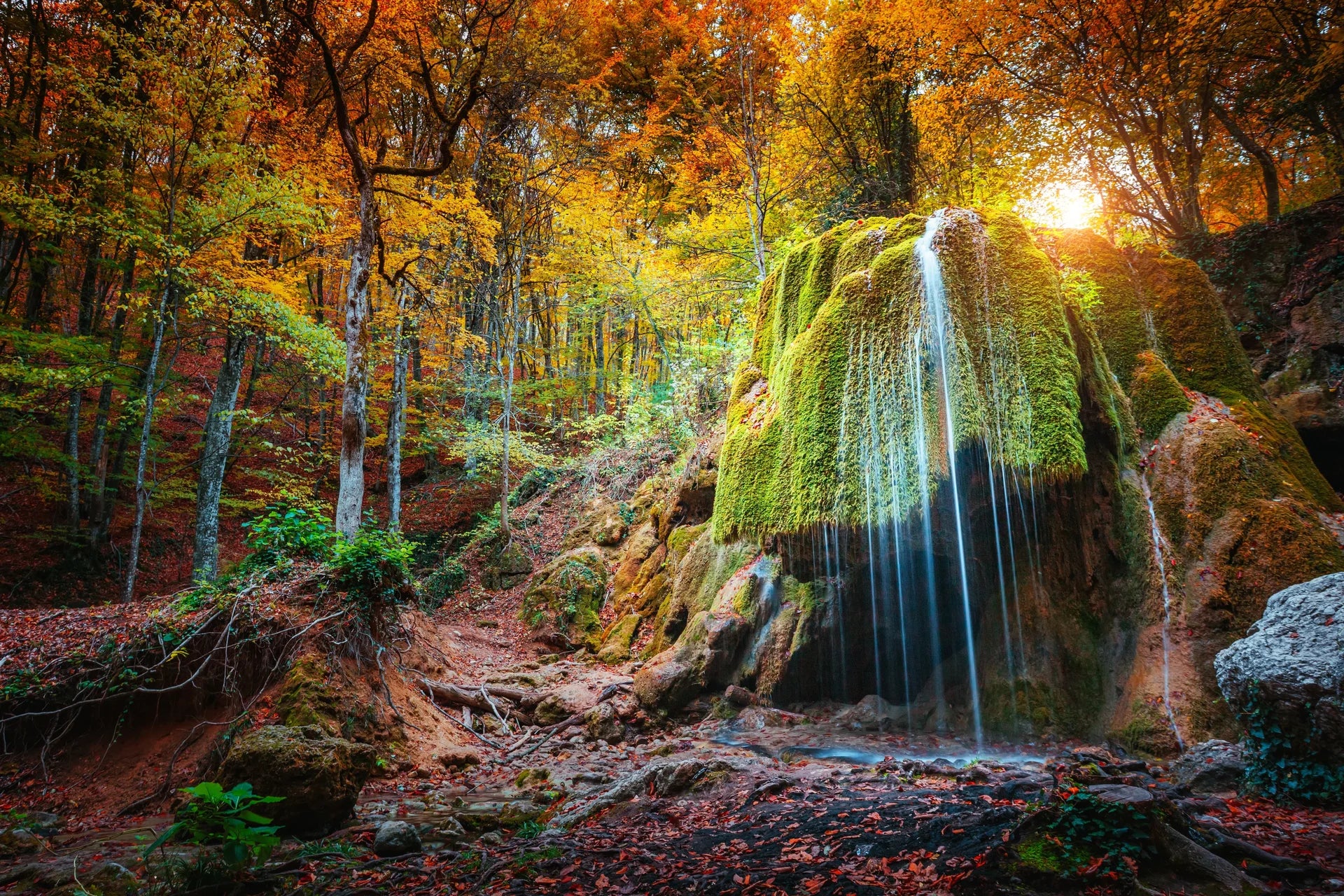 Pristine coastal gem featuring crystal waters and natural texture removable wallpaper