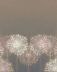 Matte white dandelion silhouette peel and stick wallpaper - Dandelion Drift