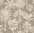 Desert Bloom cactus flower wallpaper