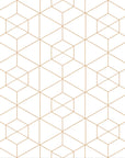 Smooth white gold geometric cube peel and stick wallpaper - Desert Filigree
