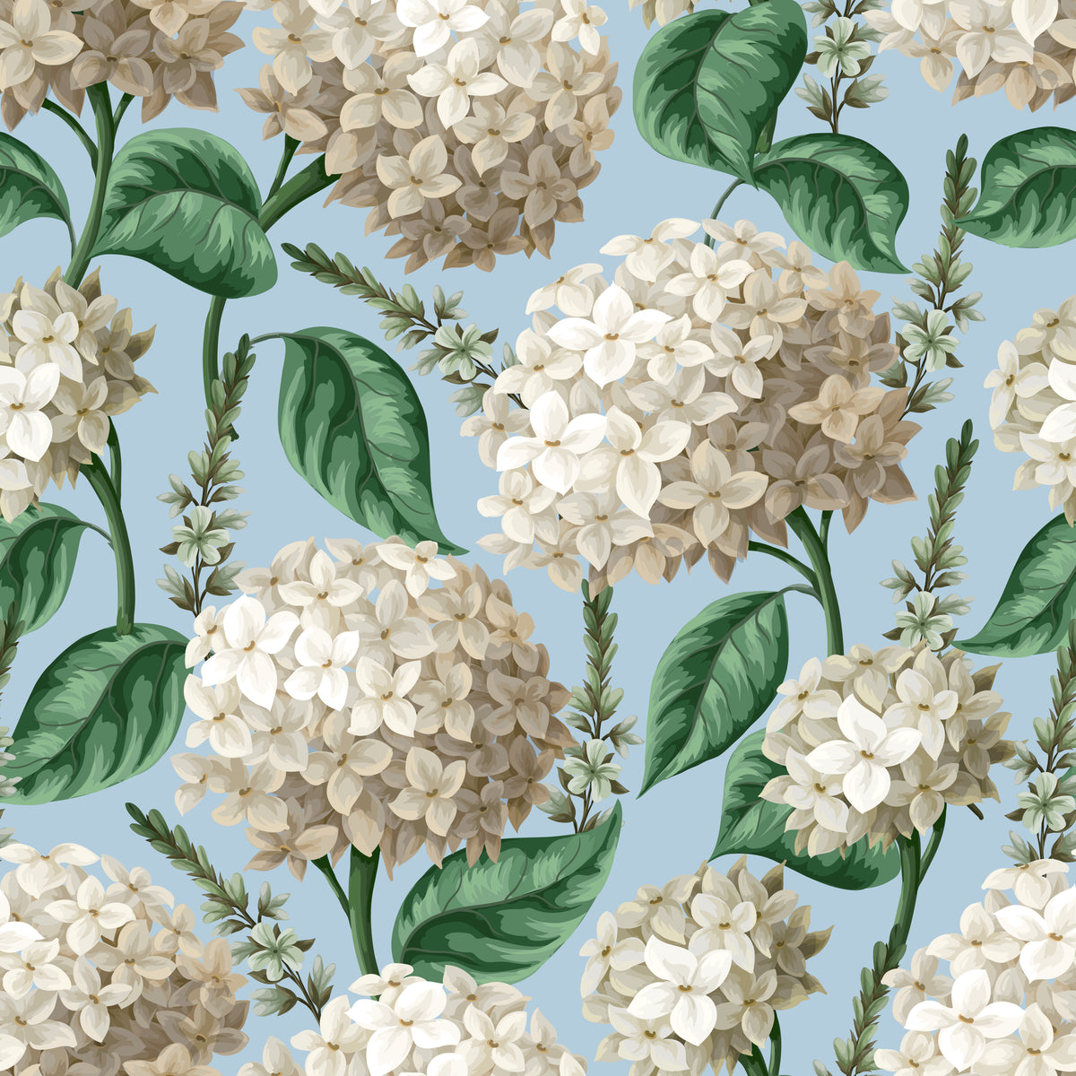Elegant White Hydrangea soft blue botanical floral wallpaper