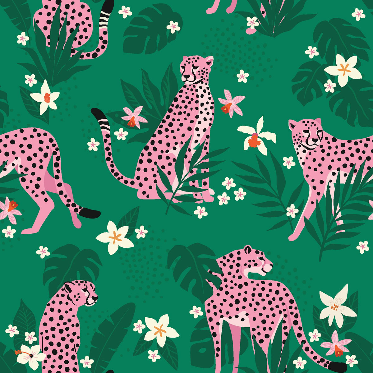 Feline Bloom cat and flower wallpaper
