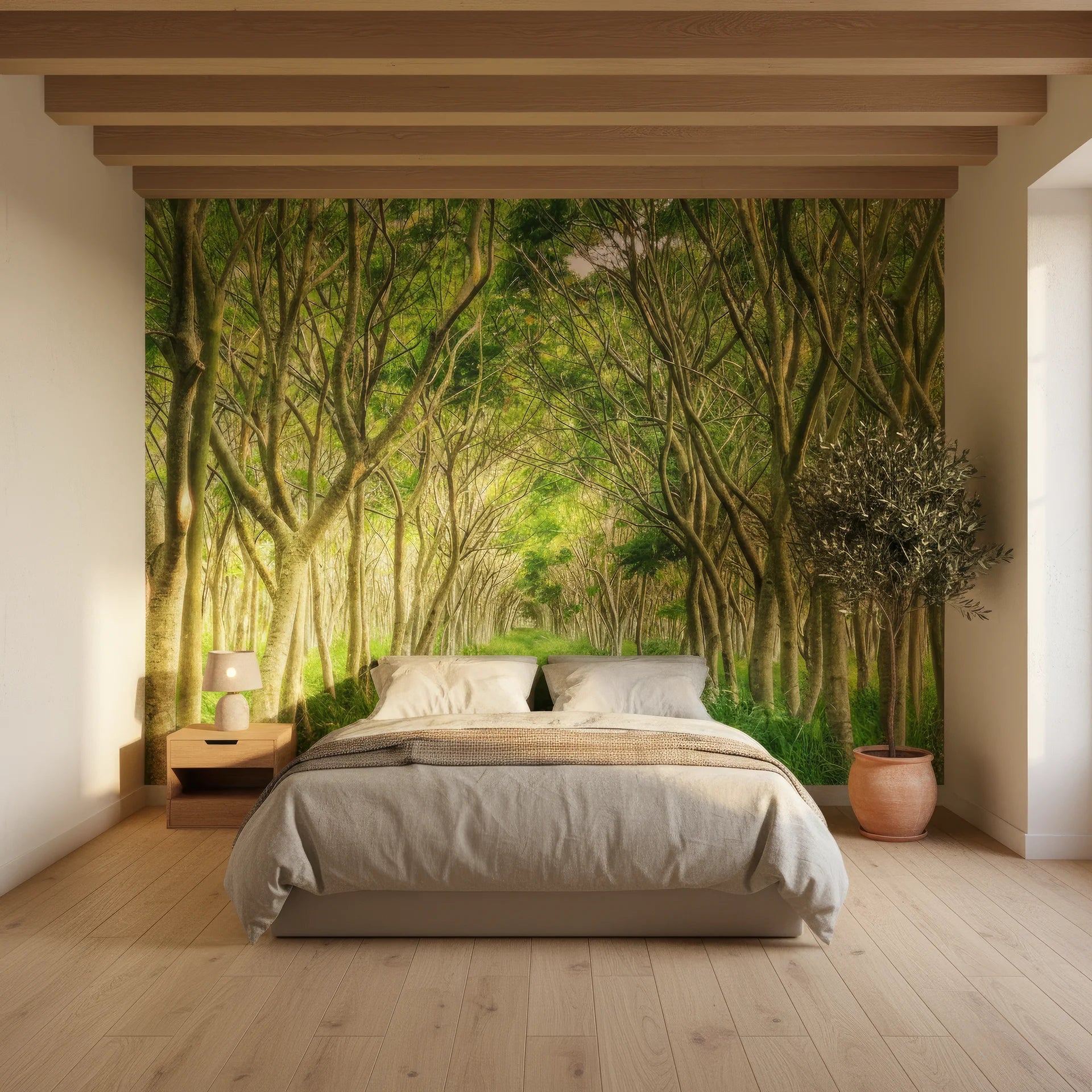 Tree-lined forest corridor with soft dappled light removable wallpaper