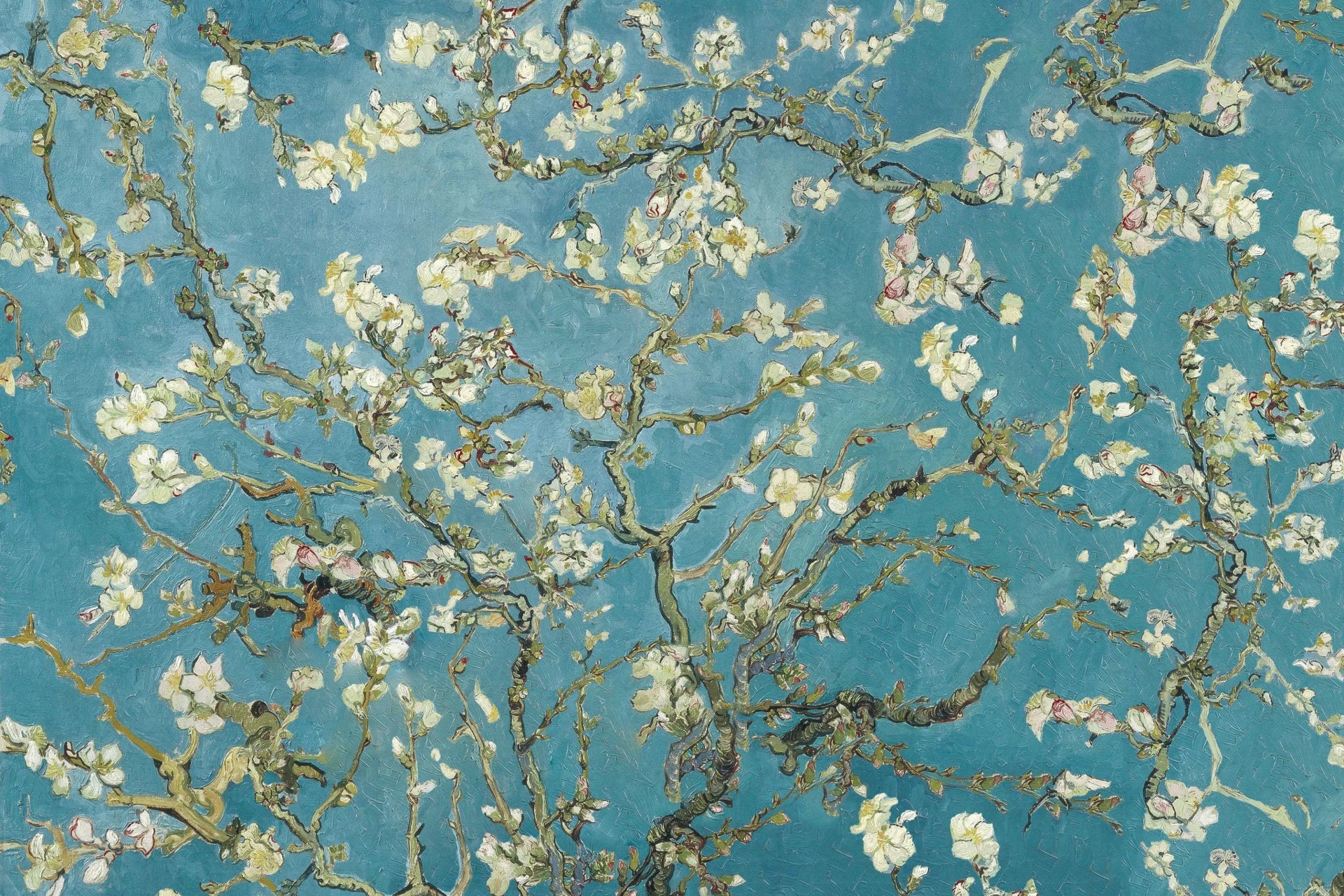 Impressionist Golden Blossoms wallpaper with white almond flowers on turquoise blue background