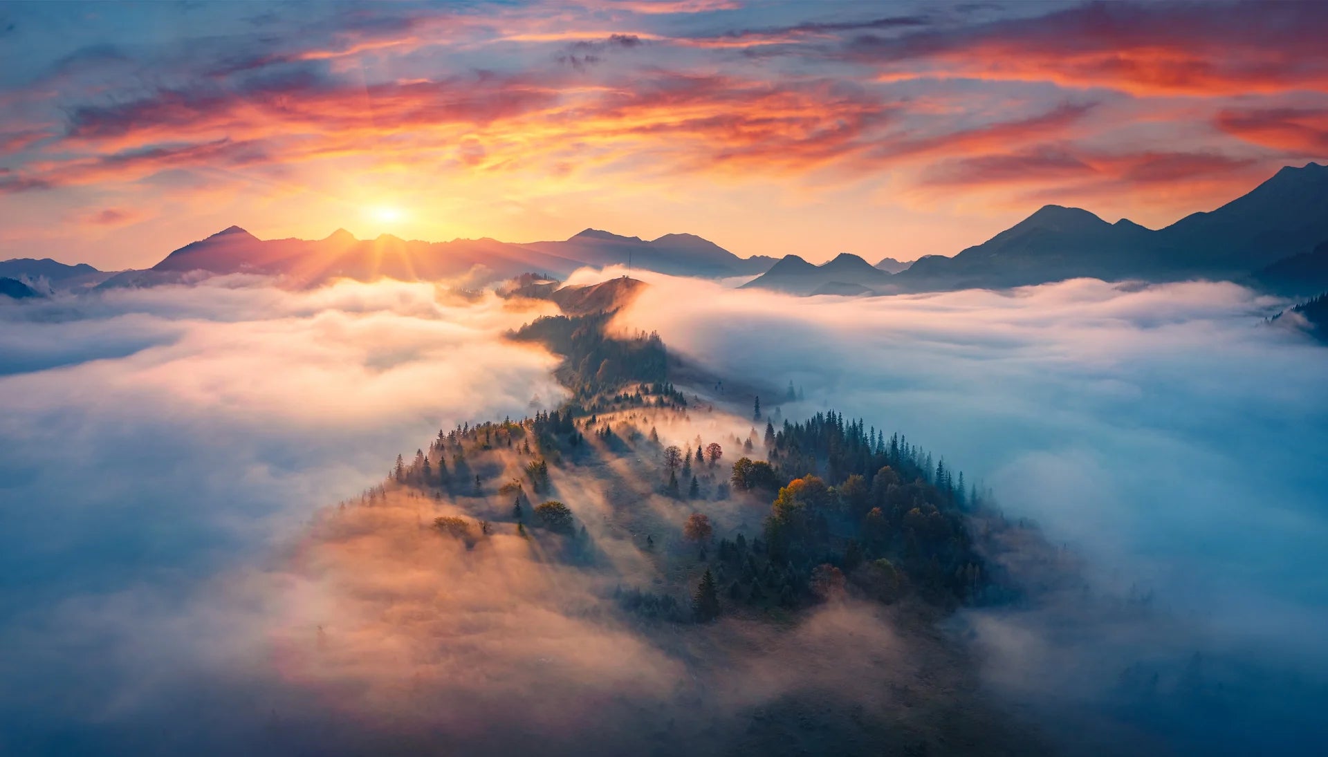 Golden gateway revealing scenic vista beyond removable wallpaper