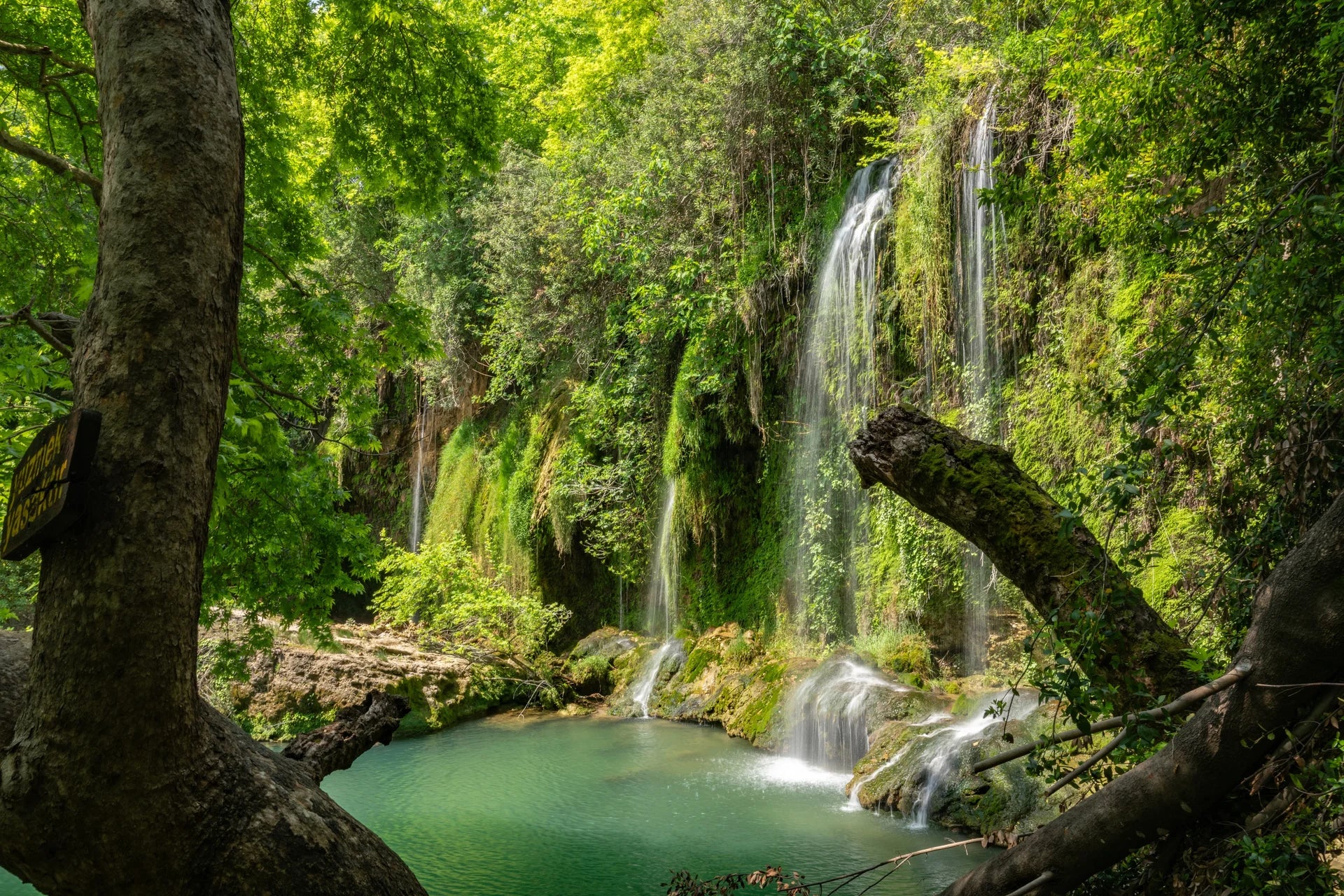 Hidden gem waterfall in serene natural setting removable wallpaper