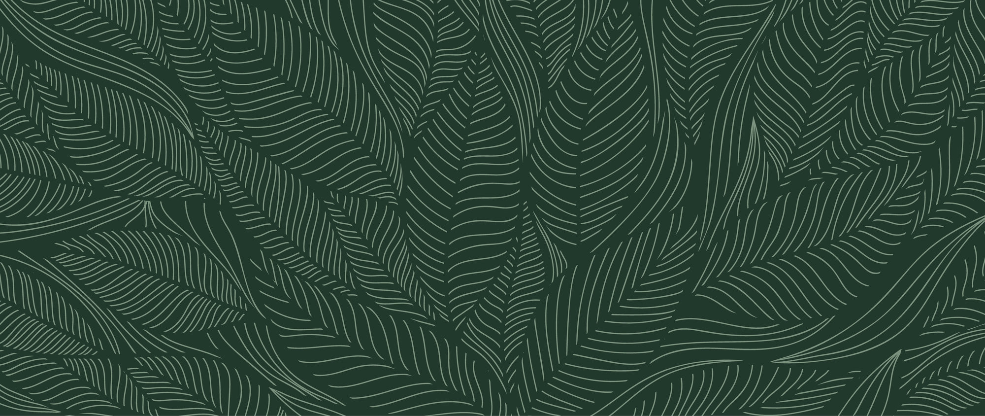 Textured peel and stick wallpaper with dark green palm fronds - Hidden Understory