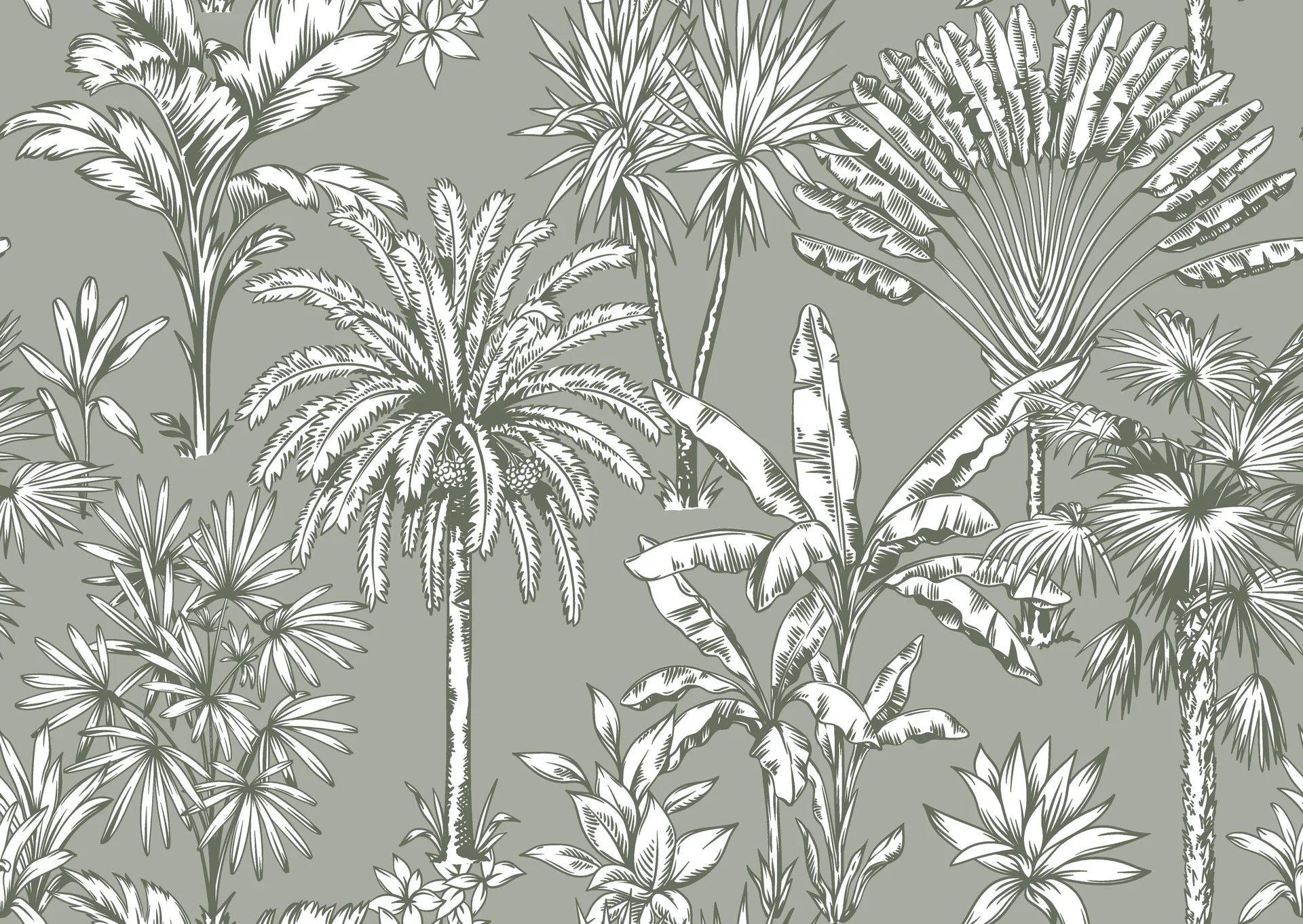 Textured sage palm tree peel and stick wallpaper - Hush &amp; Palm