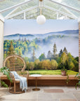 Misty morning light over tranquil landscape peel and stick wallpaper