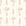 Smooth golden line art florals peel and stick wallpaper - Petal & Thread