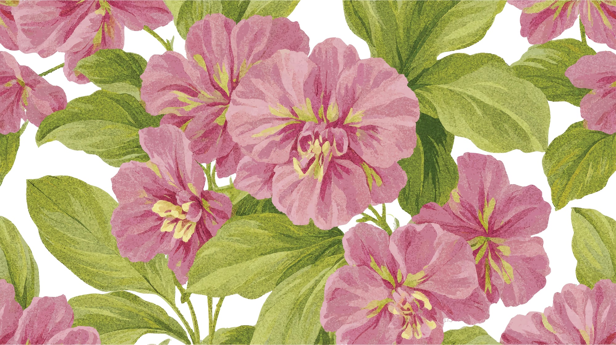 Smooth peel and stick wallpaper with pink florals - Soft Petal Wash