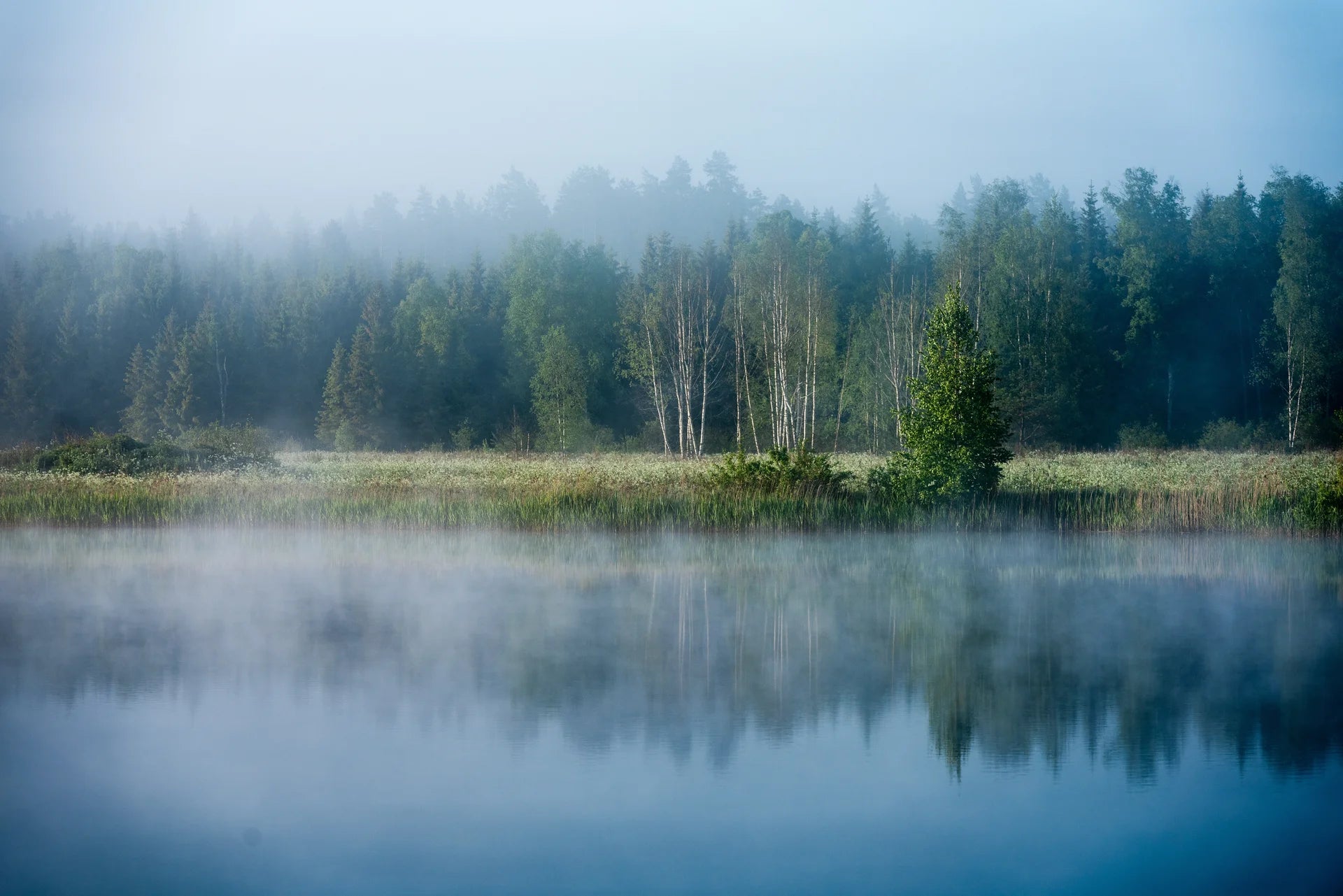 Serene peaceful stillness of natural setting removable wallpaper