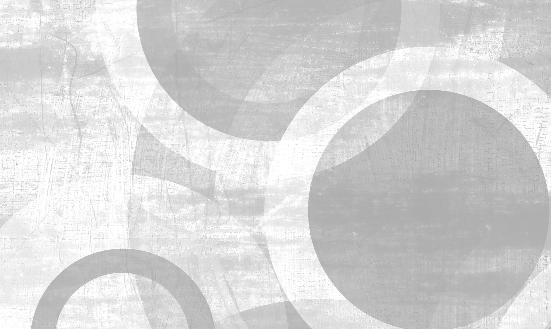 Modern removable wallpaper celebrating natural circular harmony