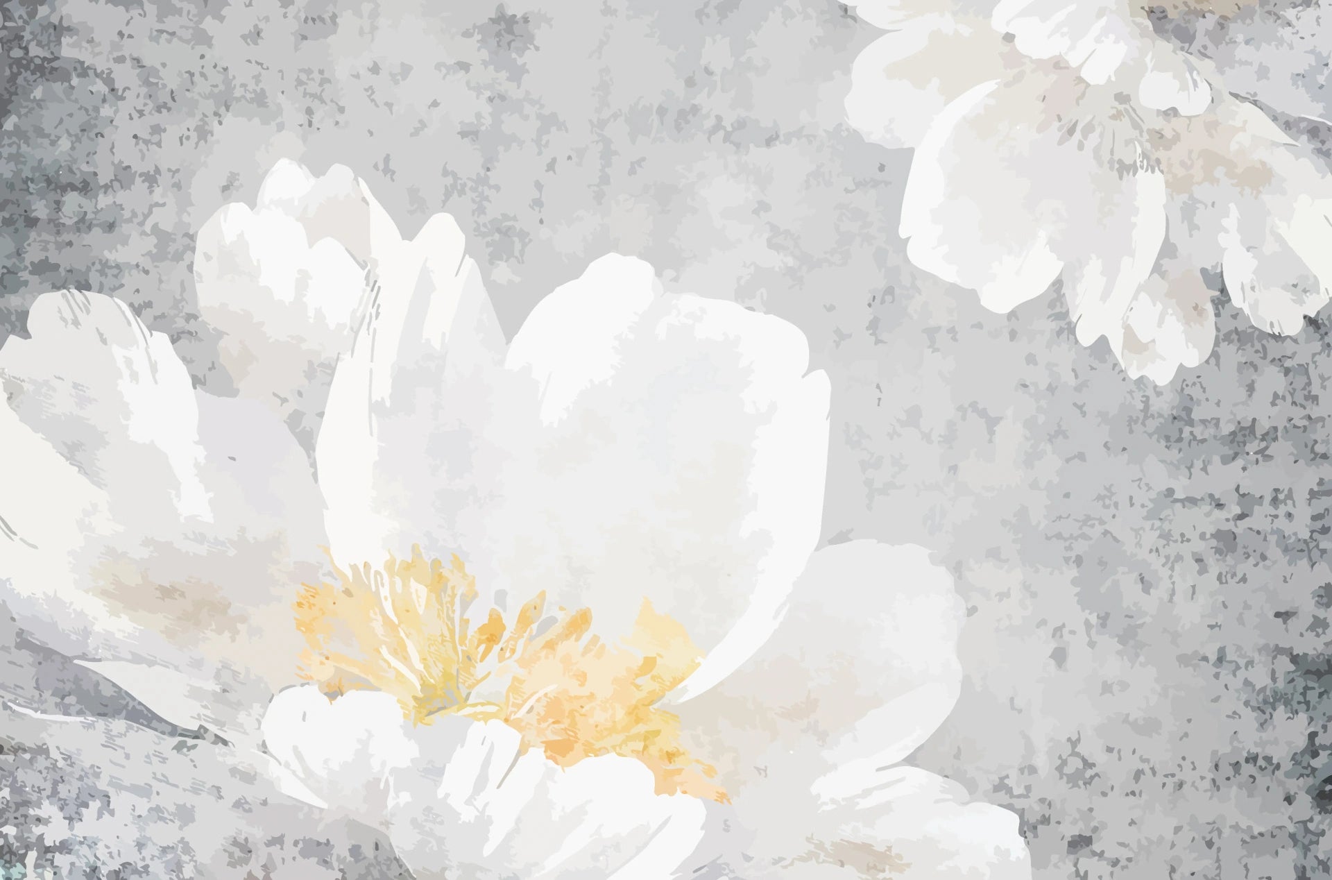 White Peonies removable wallpaper with soft blooms and golden centers on textured gray background