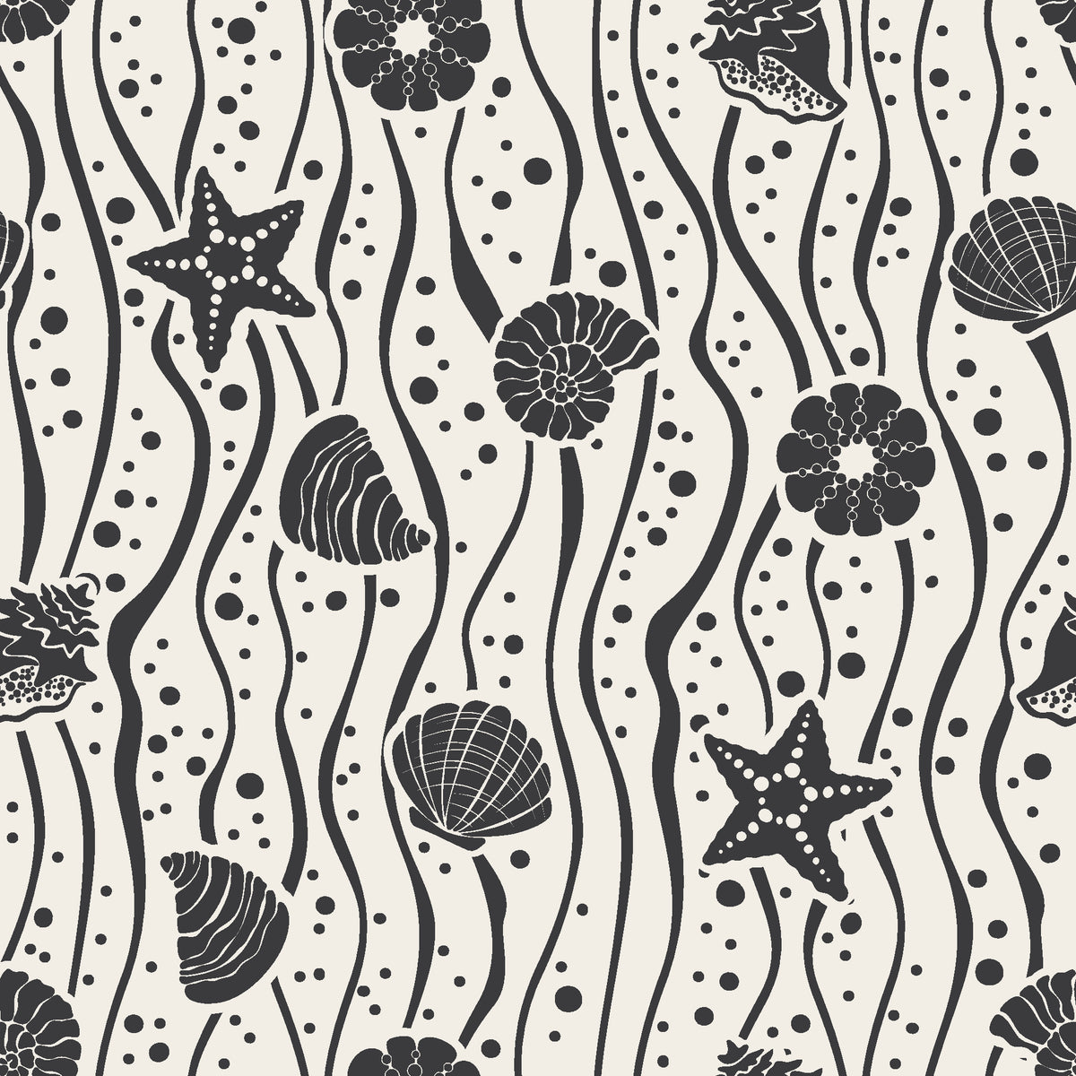 Apricot Tides Charcoal coastal seashell wallpaper in charcoal and oat