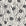 Apricot Tides Charcoal coastal seashell wallpaper in charcoal and oat