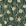 Apricot Tides Forest coastal seashell wallpaper in forest green and champagne