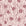 Apricot Tides Rosewood coastal seashell wallpaper in rosewood and blush