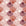 Coastal Scallop Blush scallop shell wallpaper in blush and rose