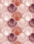 Coastal Scallop Blush scallop shell wallpaper in blush and rose