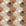 Coastal Scallop Mocha scallop shell wallpaper in mocha and cream