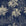 Conservatory Greens Midnight tropical palm toile wallpaper in midnight and gold