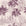 Conservatory Greens Mulberry tropical palm toile wallpaper in mulberry and blush