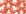 Cresting Wave Coral octopus wallpaper in coral and cream